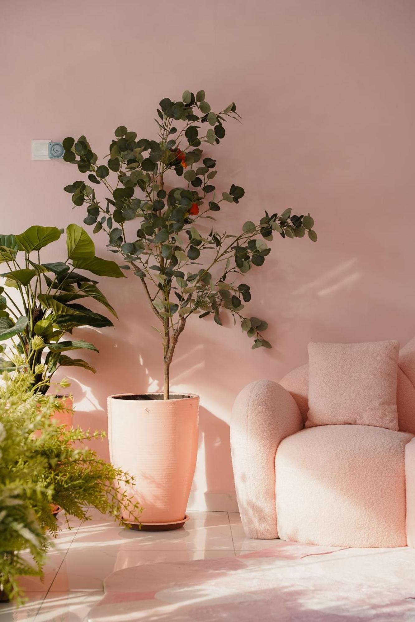 Pink Cabana Hotel George Town Eksteriør bilde